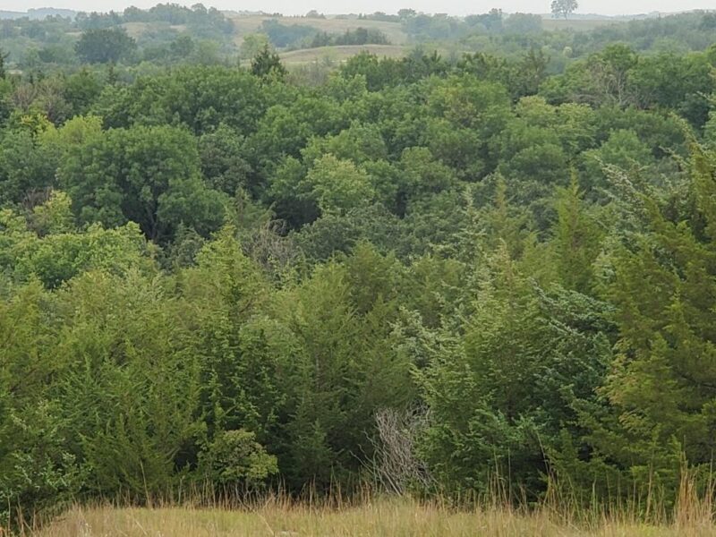 116 Lots, Devils Nest, Knox County, Nebraska Cabin Realty & Ag