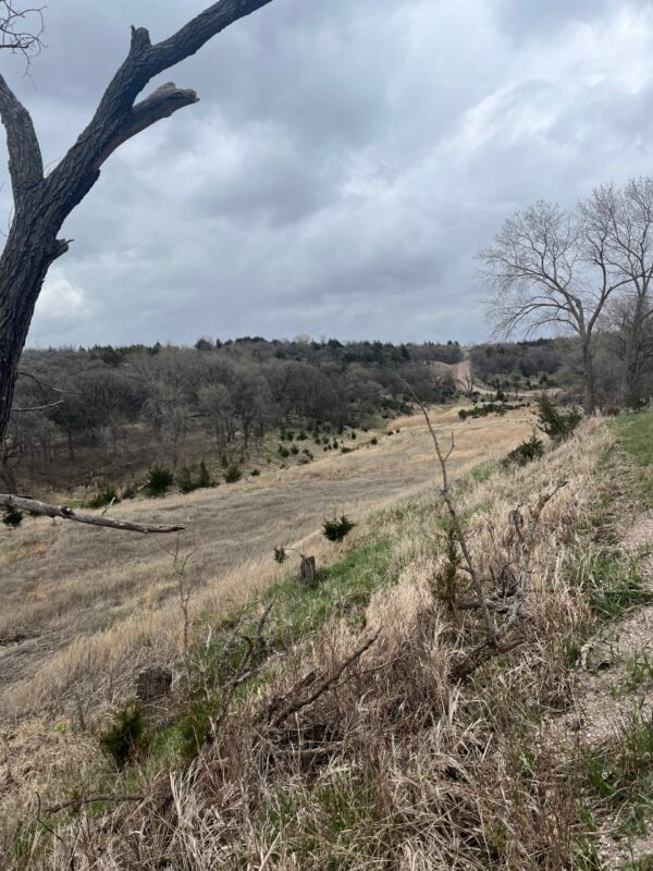 116 Lots, Devils Nest, Knox County, Nebraska Cabin Realty & Ag