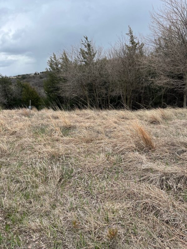 116 Lots, Devils Nest, Knox County, Nebraska Cabin Realty & Ag