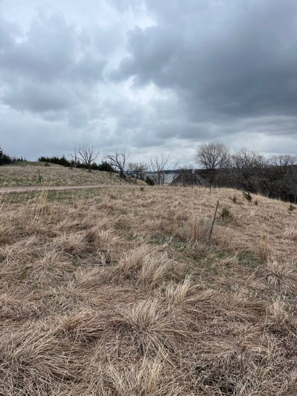 116 Lots, Devils Nest, Knox County, Nebraska Cabin Realty & Ag