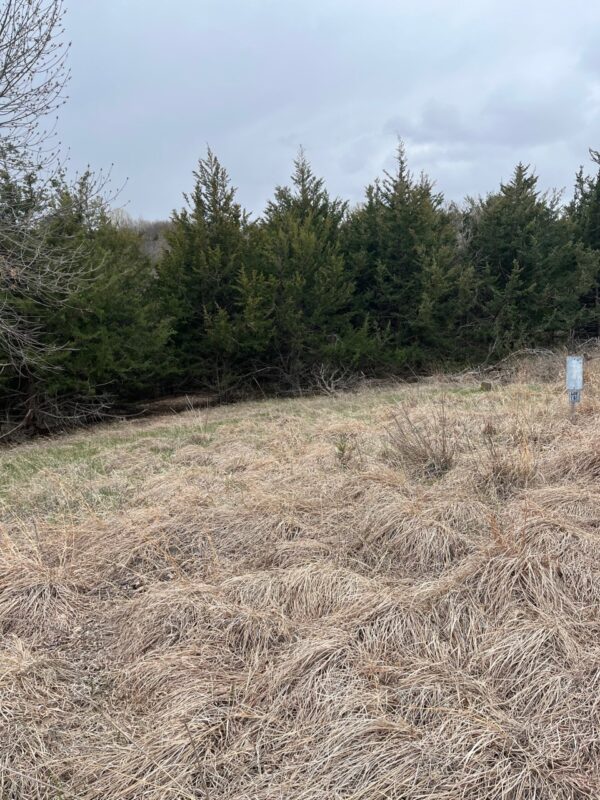 116 Lots, Devils Nest, Knox County, Nebraska Cabin Realty & Ag