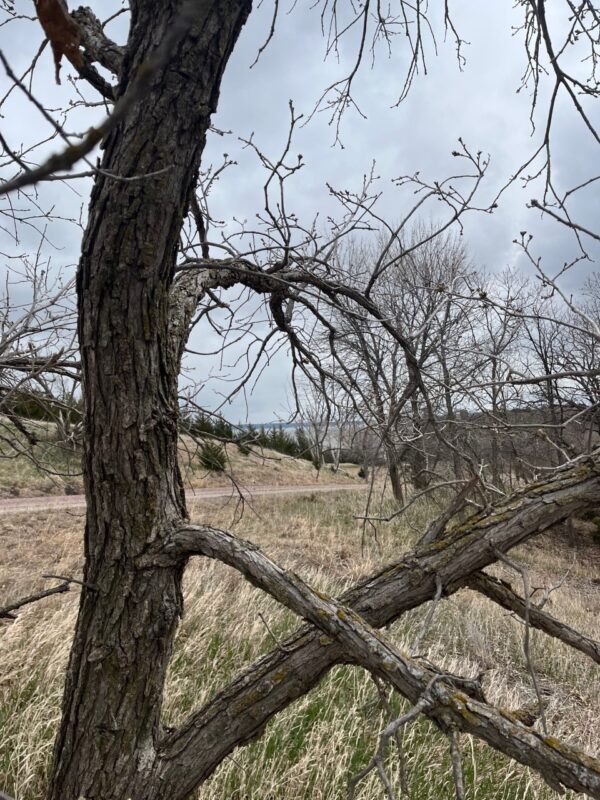 116 Lots, Devils Nest, Knox County, Nebraska Cabin Realty & Ag