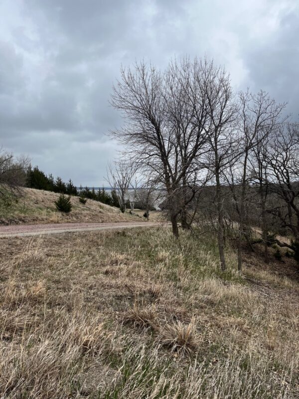 116 Lots, Devils Nest, Knox County, Nebraska Cabin Realty & Ag