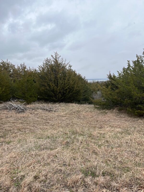 116 Lots, Devils Nest, Knox County, Nebraska Cabin Realty & Ag