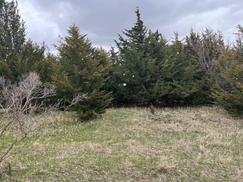 116 Lots, Devils Nest, Knox County, Nebraska Cabin Realty & Ag