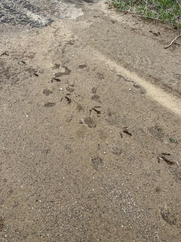 116 Lots, Devils Nest, Knox County, Nebraska Cabin Realty & Ag