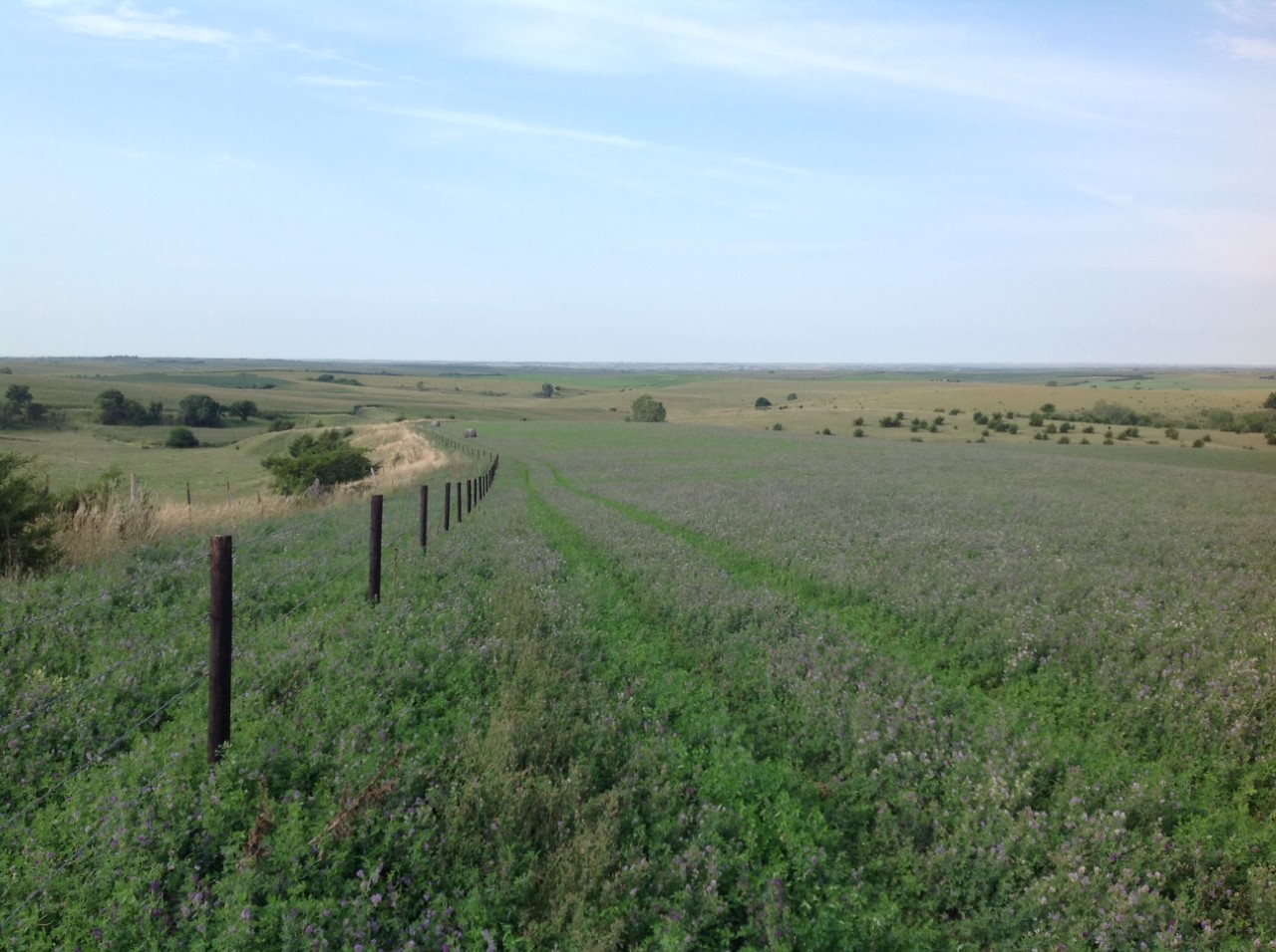 Sold* 307+/ Acres, dryland crop and pasture, Greeley County, NE