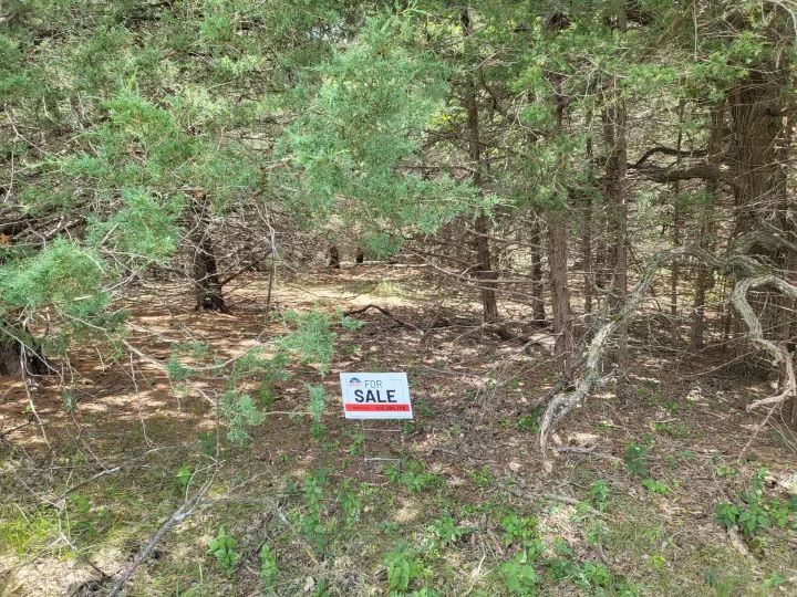 Lot 1074, Block 10, Devils Nest Knox County, Nebraska Cabin Realty