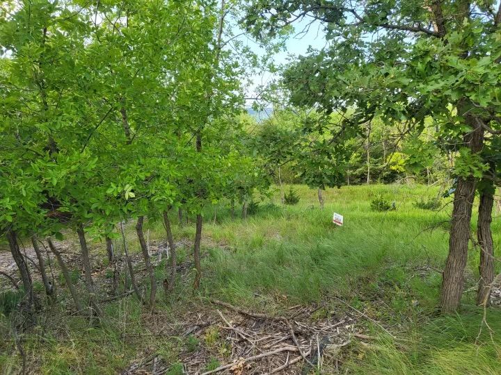 Lot 117 in Block 1 of Devils Nest, Knox County, Nebraska Cabin Realty