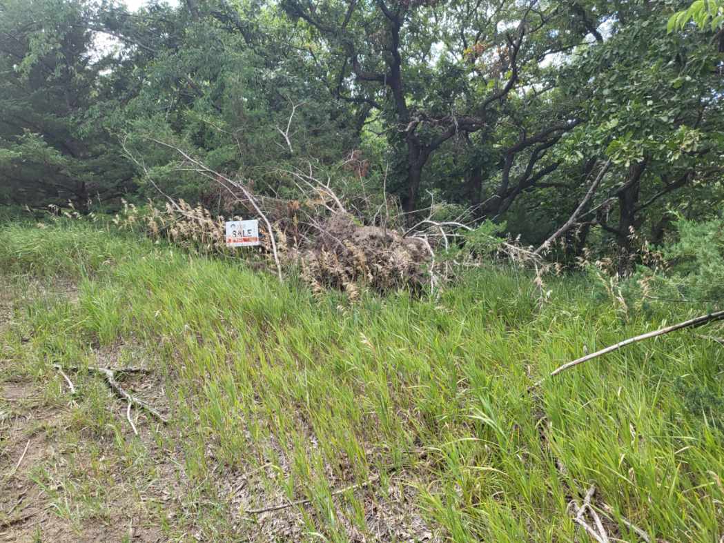 Sold Lot 150 in Block 4, Devils Nest, Knox County, Nebraska Cabin
