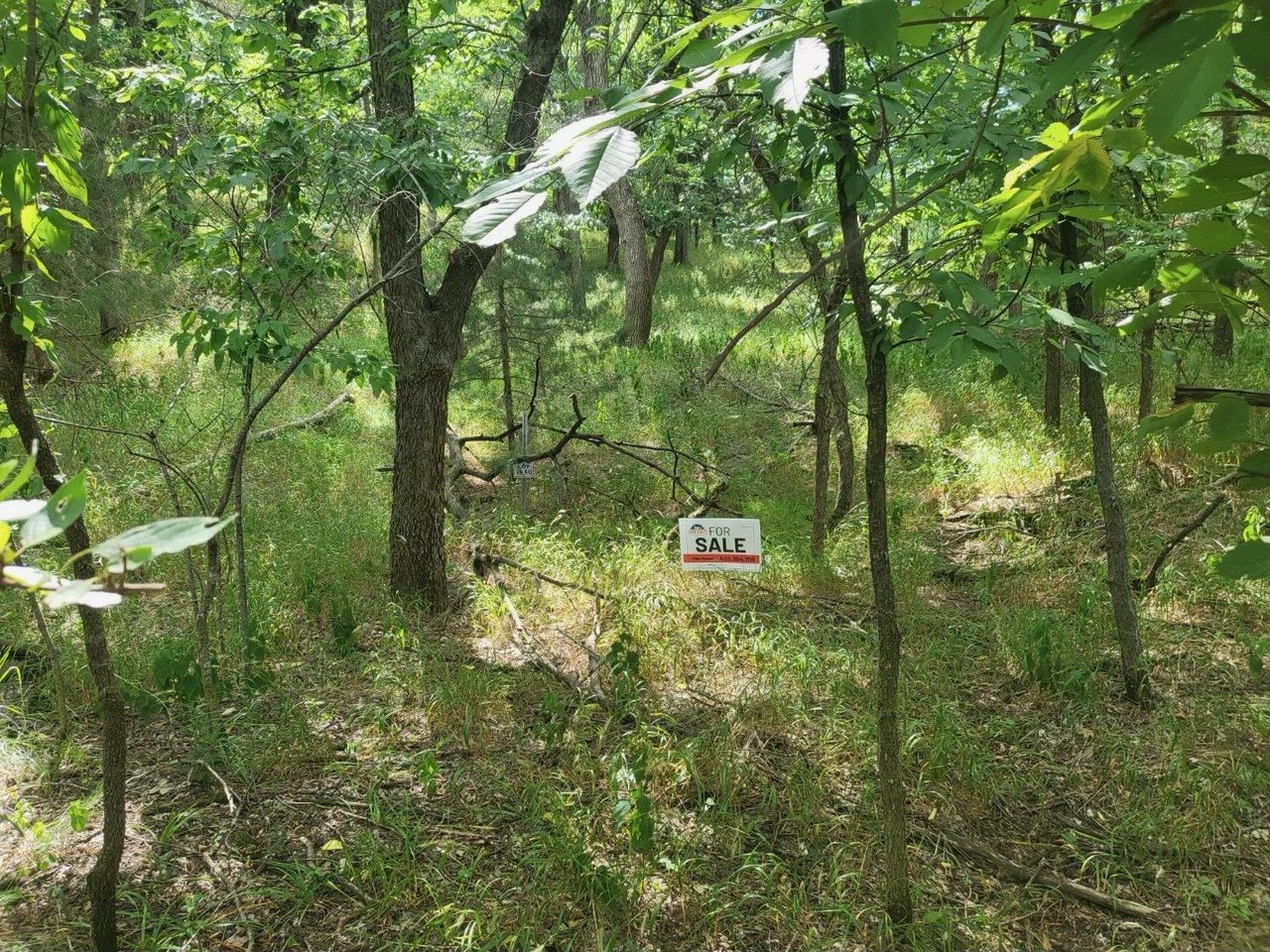 Lot 1640 in Block 14, Devils Nest, Knox County, Nebraska Cabin Realty