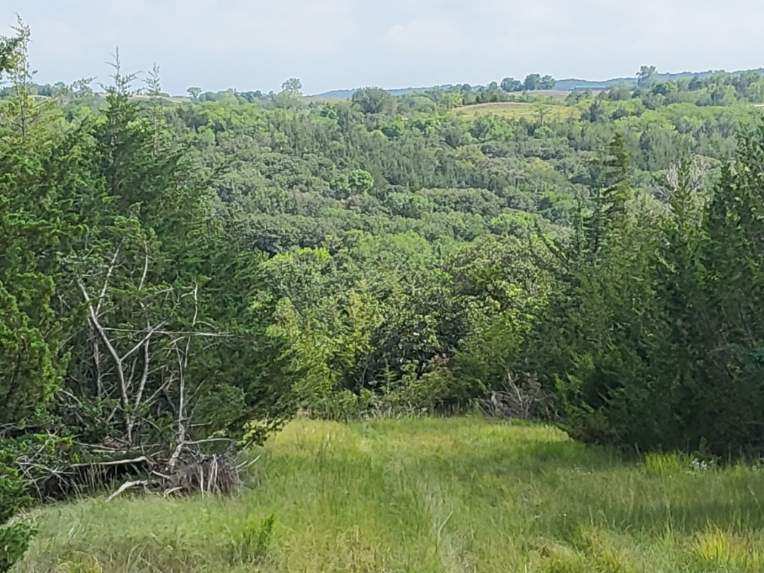 Lot 233, Block 6, Devils Nest Knox County, Nebraska Cabin Realty