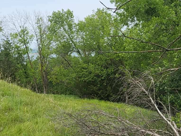 Lot 361 in Block 2, Devils Nest, Knox County, Nebraska Cabin Realty